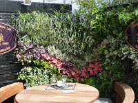 RHS Chelsea Flower Show
